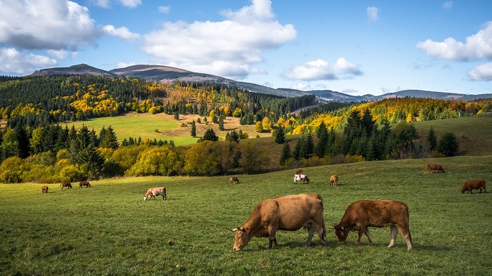 Zaujímavosti o Slovensku a jeho prírode